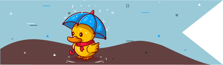 Duck under umbrella banner
